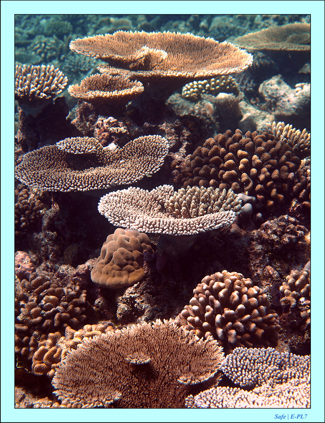 2023 - 07 - Sandies Bathala - 234